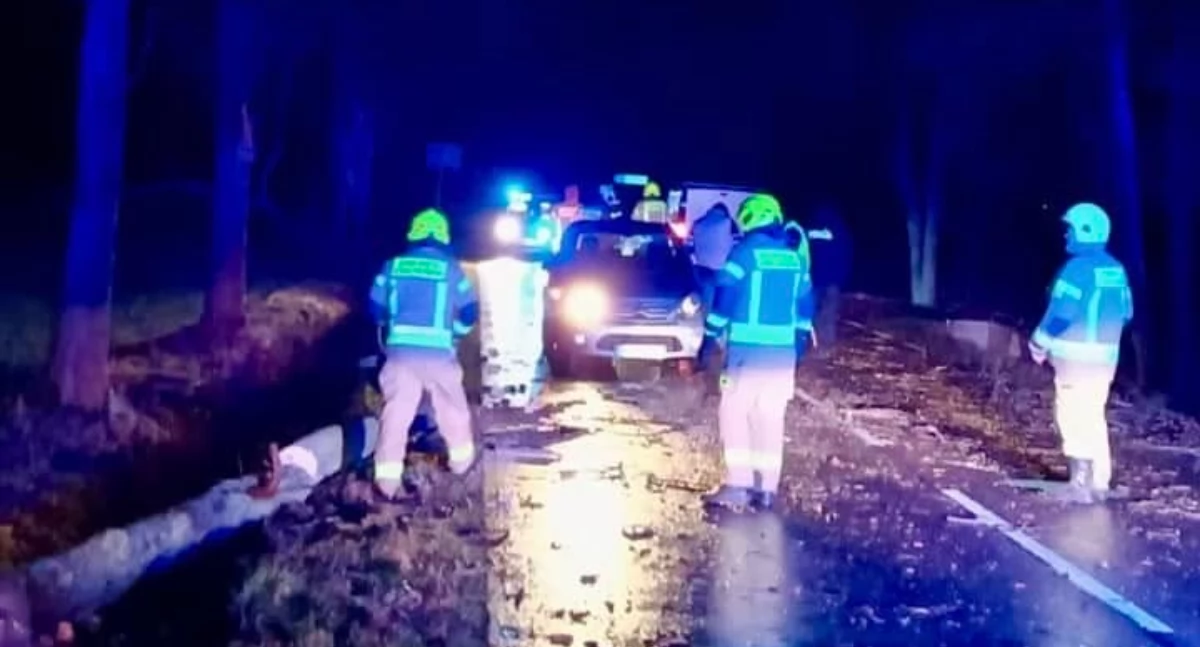Dwa samochody najechały na drzewo leżące na drodze
