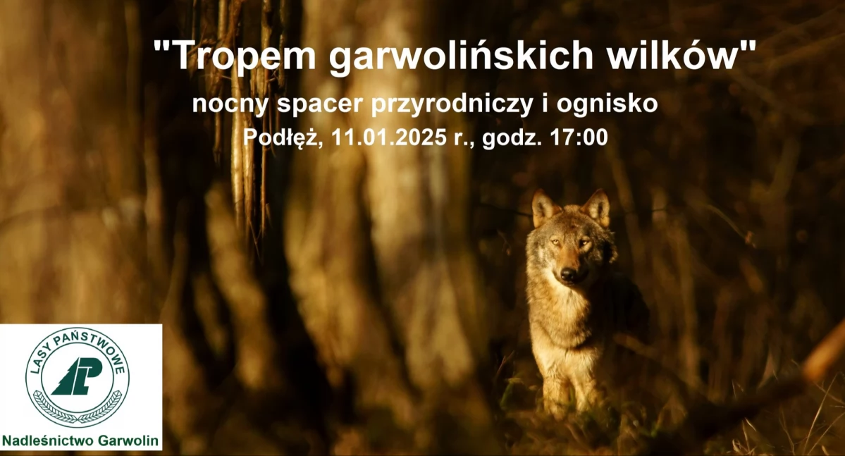 Pójdą tropem garwolińskich wilków