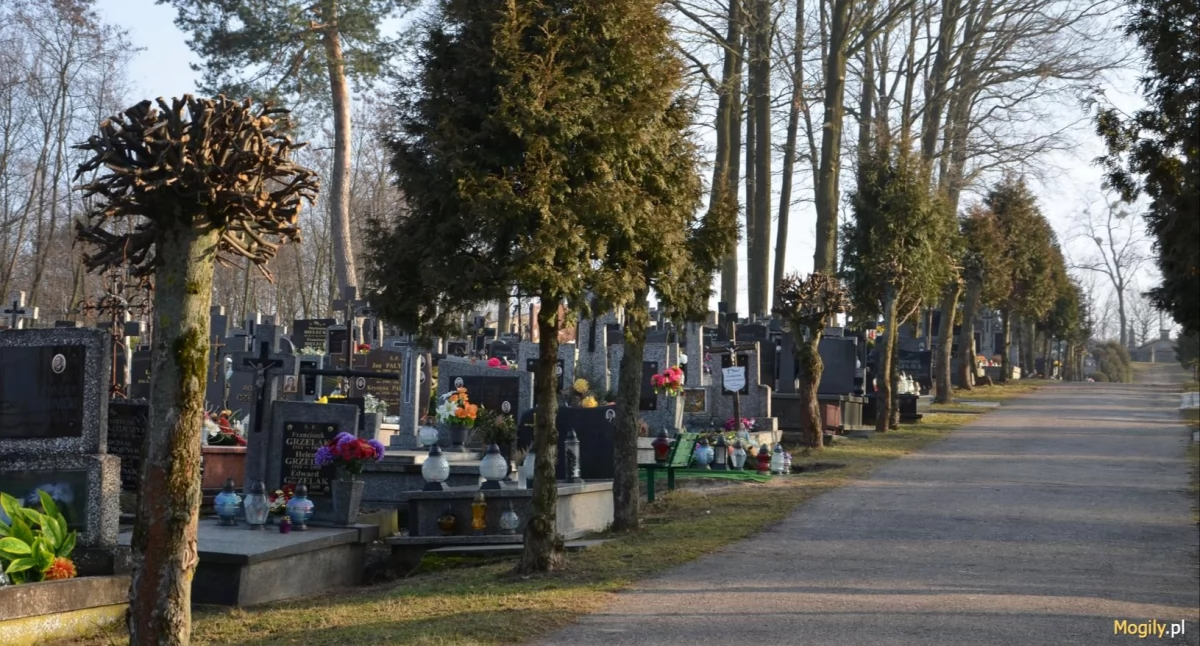 Zbezczeszczenie grobów: Nie odpuścili nawet po śmierci