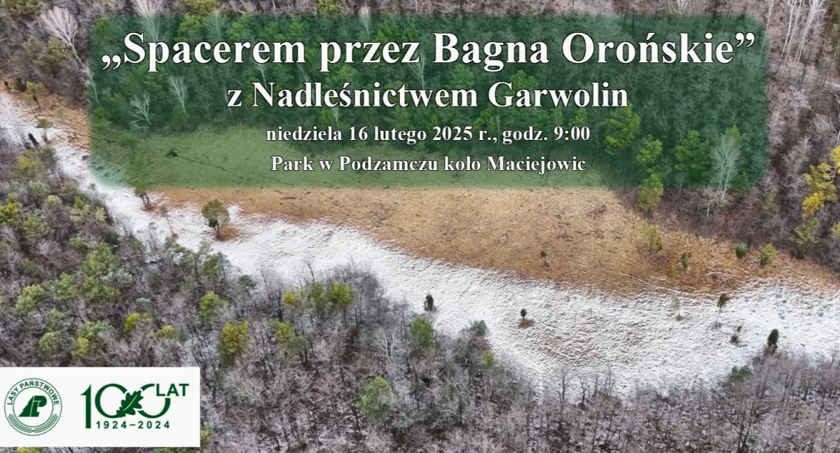 Zapraszają na wędrówkę po bagnach