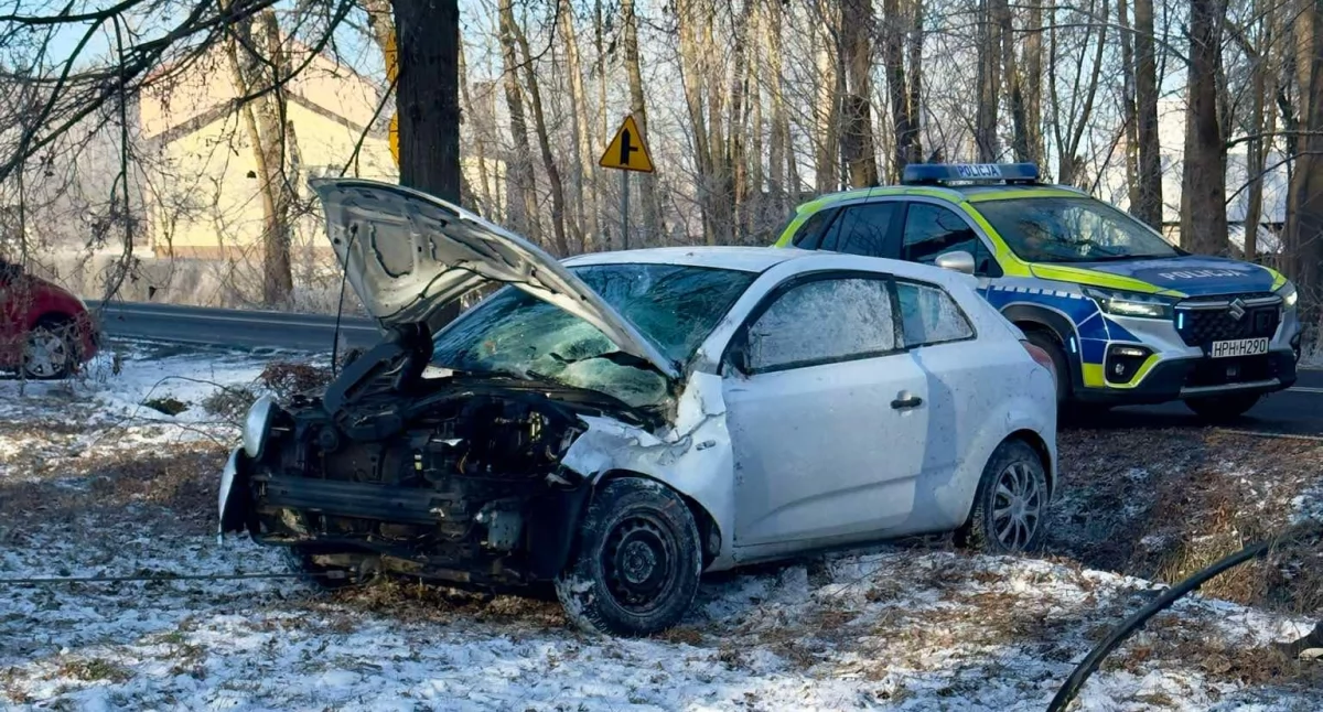 Straciła panowanie nad pojazdem i uderzyła w drzewo