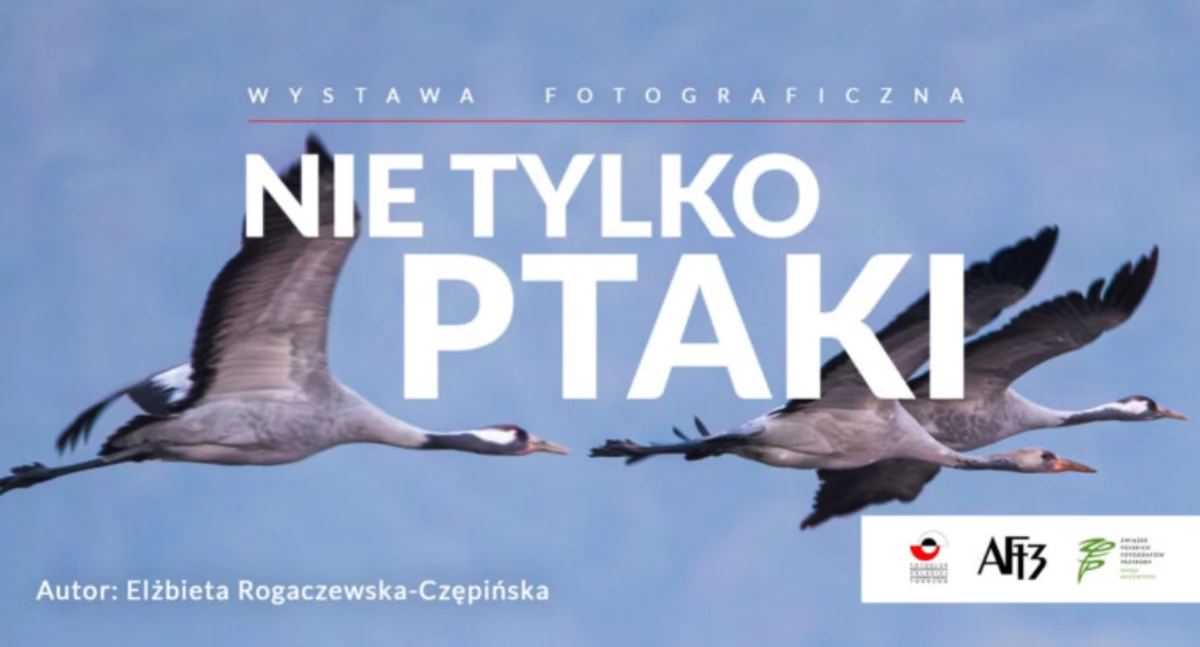 Wystawa fotografii „Nie tylko ptaki ” Elżbiety Rogaczewskiej-Czępińskiej