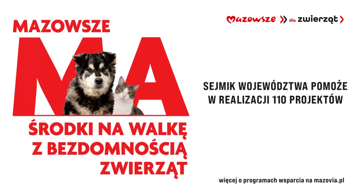 Są pieniądze na walkę z bezdomnością zwierząt