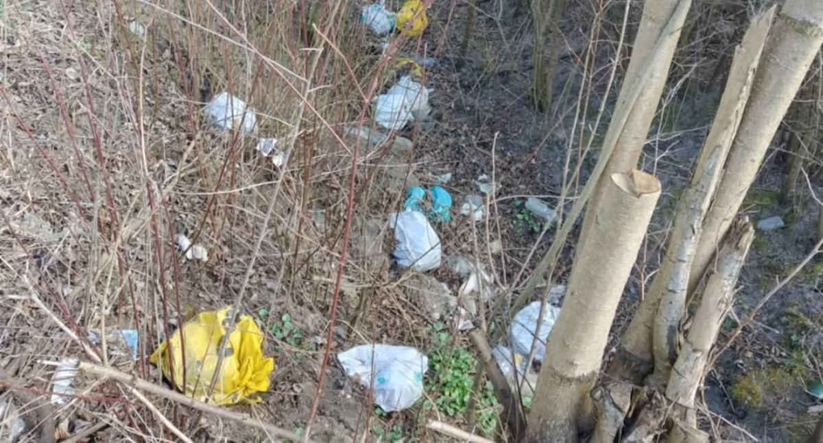 Kierowca audi wyrzucił śmieci na pobocze? Sprawą zajmuje się policja