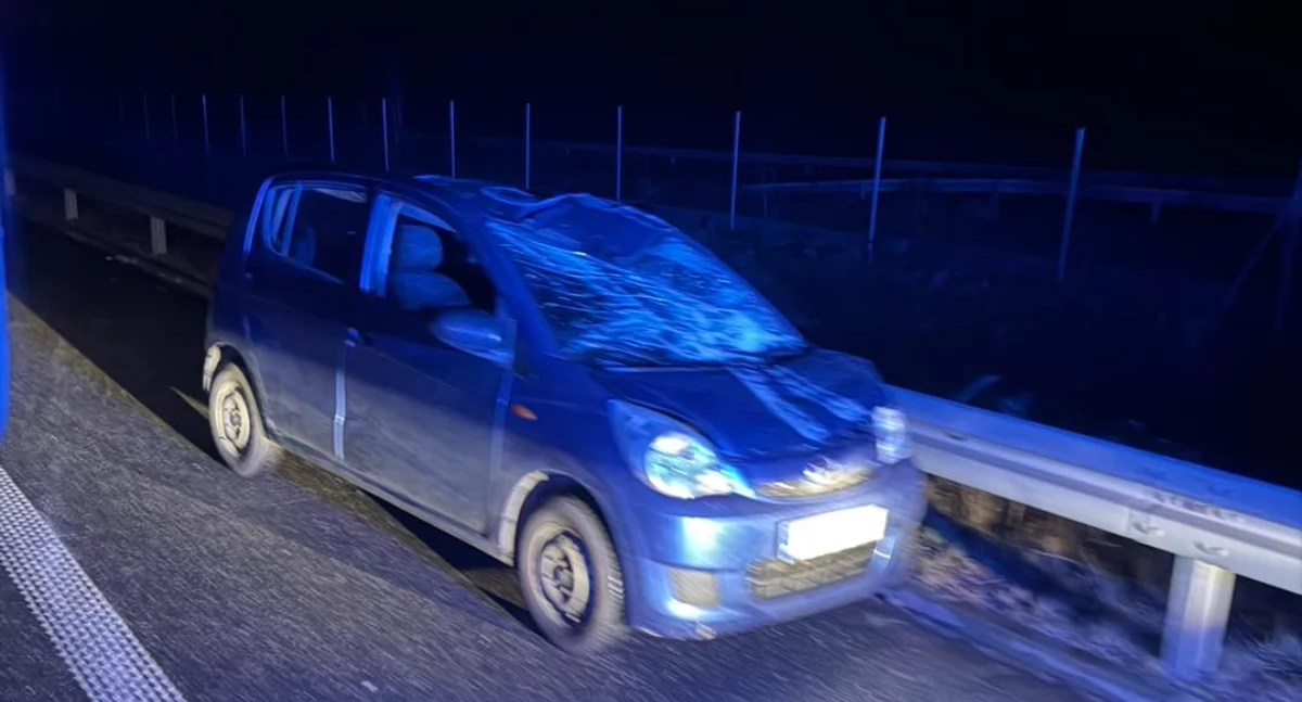 W nocy dachował na ekspresówce