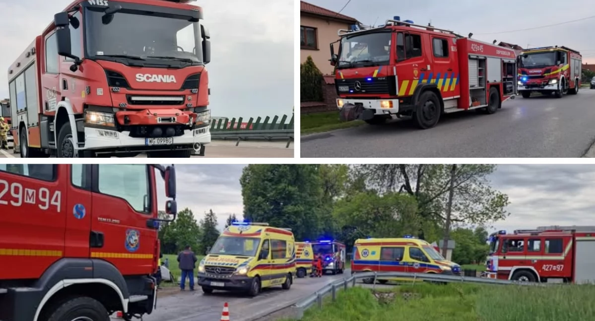 Tydzień interwencji garwolińskich strażaków. Pożary, wypadki i niecodzienne zgłoszenie