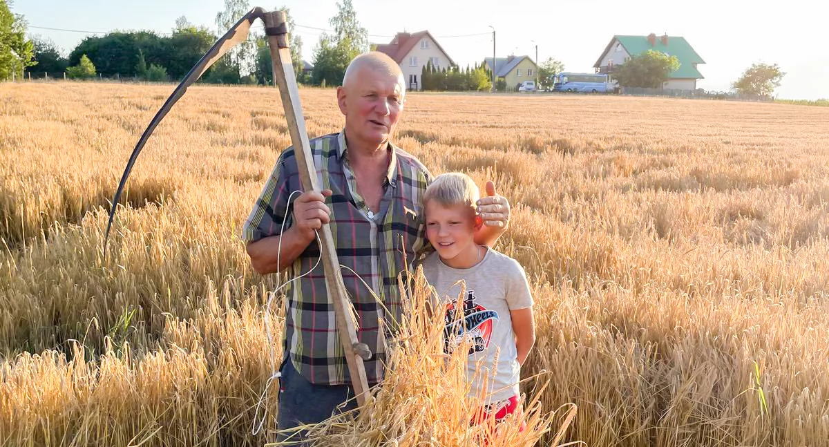 Dziadek i wnuk rozpoczęli żniwa. Wzruszająca tradycja w naszym powiecie