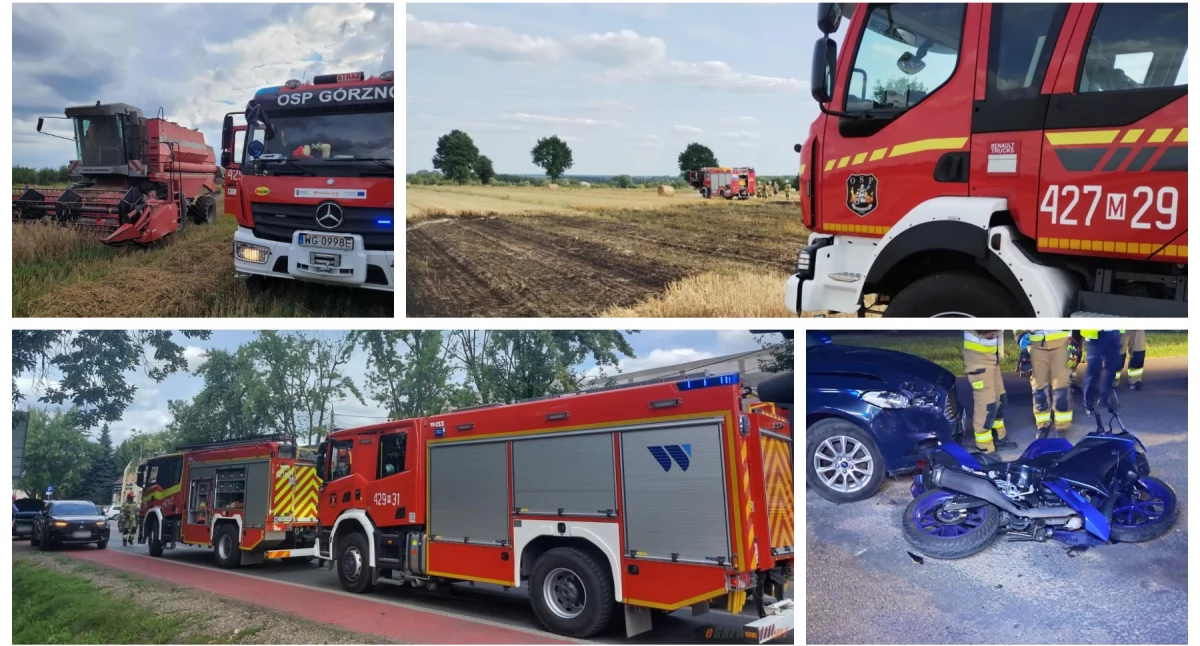 Walka z ogniem w żniwa i seria zdarzeń na drogach - Kronika strażacka
