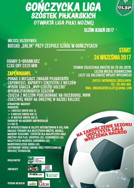 Zgłoś drużynę do GLSP