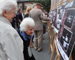 Spotkajmy się na Senatorskiej! Pełny program Festiwalu