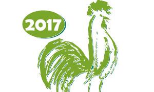 Niedziela na Senatorskiej. Festiwal Kultury i Tradycji Garwolina 2017 