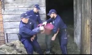 Pseudohodowla zwierząt w gm. Parysów w TVP1