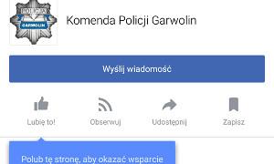 Fan page 