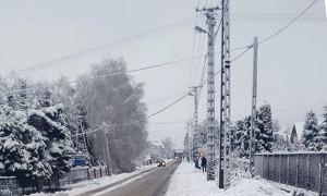 Śnieg uszkodził sieć elektroenergetyczną. Tysiące odbiorców bez prądu