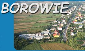 Gm. Borowie: Wypełnij ankietę i pomóż opracować Program Rewitalizacji 