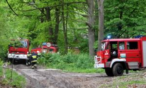 Pożar 14 ha lasu w Kobylej Woli. Zaangażowano siły z okolicznych powiatów