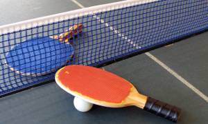 Powiatowa Liga Tenisa Stołowego