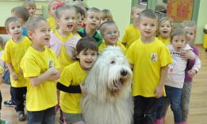 Akzo Nobel dla Leśnych Skrzatów w Michałówce