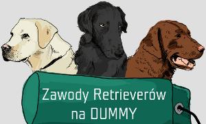 Zawody Retrieverów na Dummy już w czerwcu