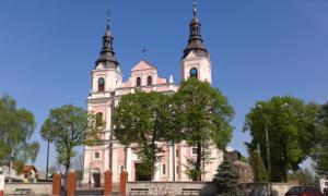 „Nielegalny” dąb i sprzeciw na ulicę w Parysowie