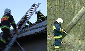 Wietrzny weekend: uszkodzone dachy i powalone drzewa 
