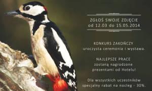 Konkurs fotograficzny „Ptasia Wilga”