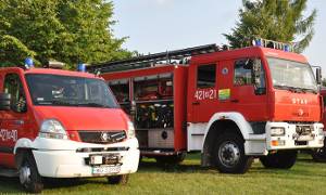 Celejów: Zjechał z drogi i uderzył w drzewo