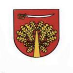 Dożynki w Gończycach 