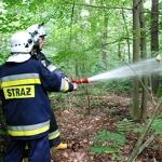 Opanowali rozprzestrzeniający się pożar lasu