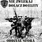 Dołącz do elity – Sfora czeka na Ciebie