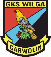 Wilga przegrała z Targówkiem