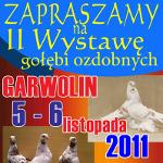 Odwiedź Wystawę Gołębi