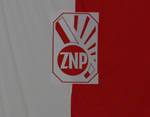 Konferencja ZNP