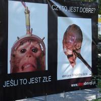 Szokująca wystawa o aborcji w Garwolinie