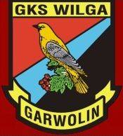 Wilga Garwolin nadal bez formy
