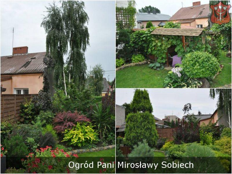Wybierzmy najpiękniejszy ogród – głosowanie rozpoczęte