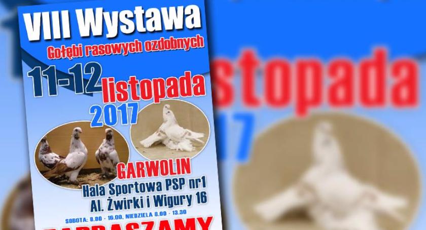 Wystawa Gołębi Ozdobnych w Garwolinie po raz ostatni?