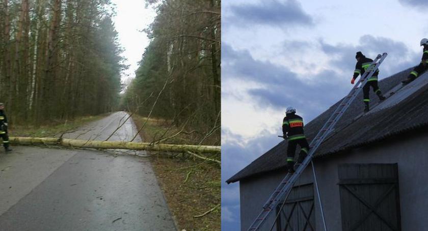 Brak prądu, połamane drzewa, podtopienia – wichura w powiecie Garwolin