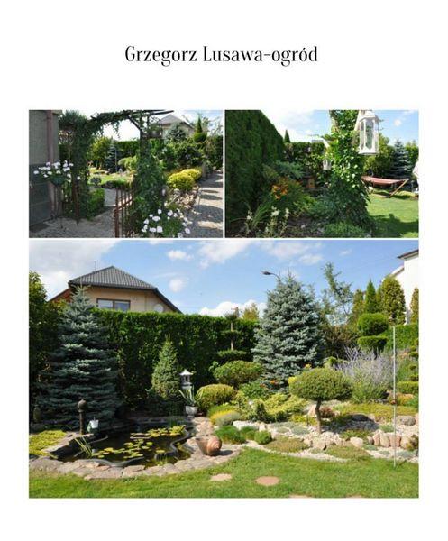 Głosuj na Najpiękniejszy Ogród i Najciekawsze Kompozycje Zieleni 