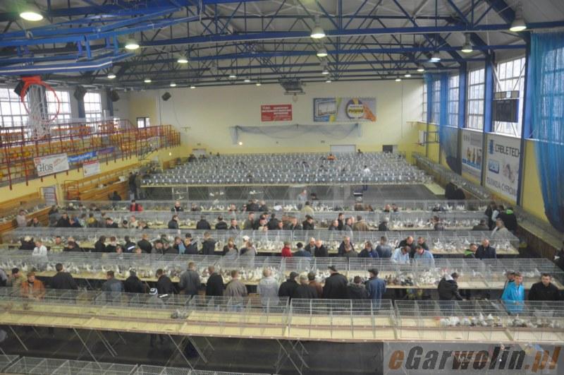 III Ogólnopolska Wystawa Gołębi w Garwolinie