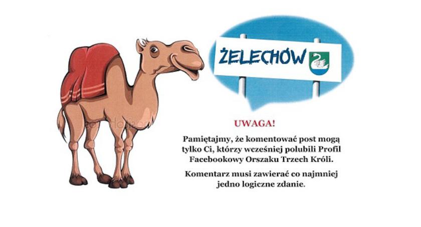 Głosujmy na żelechowski Orszak Trzech Króli z wielbłądem!