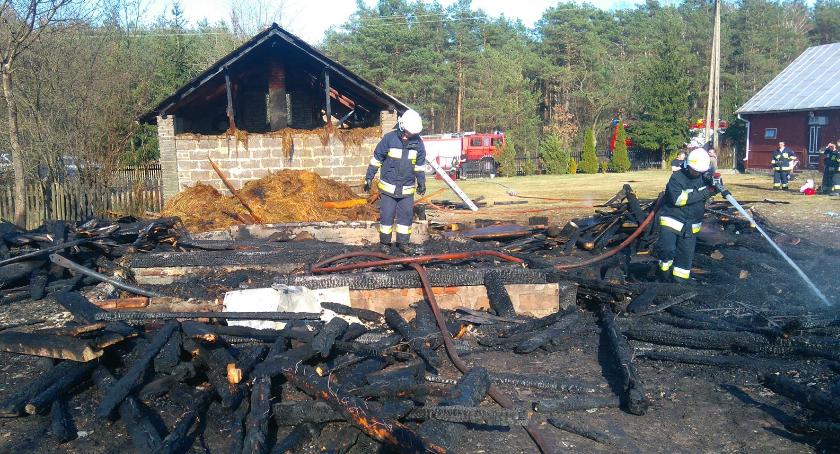 Pożar trzech budynków i trawy w Rudzie Tarnowskiej