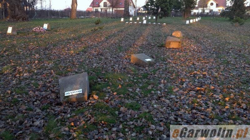 Garwolin: Sprawca dewastacji cmentarza wojennego zatrzymany