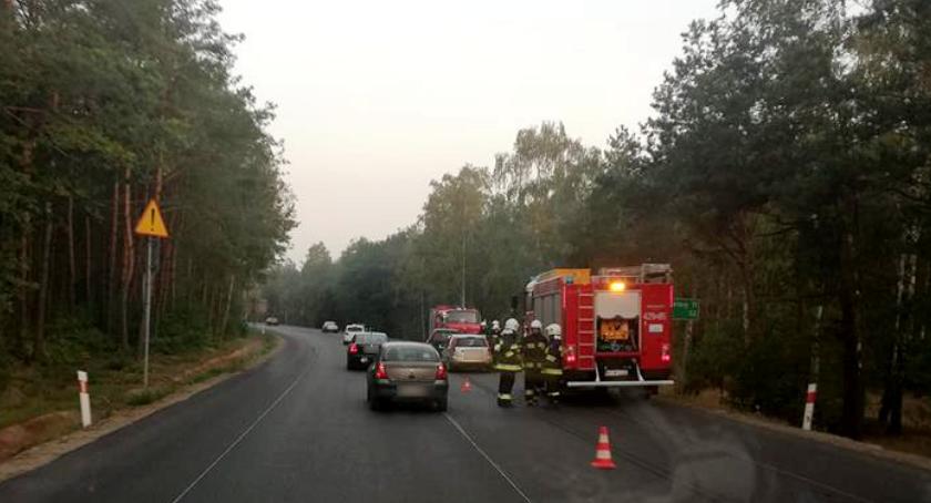 DW 801 – Kolizja samochodów w Wildze