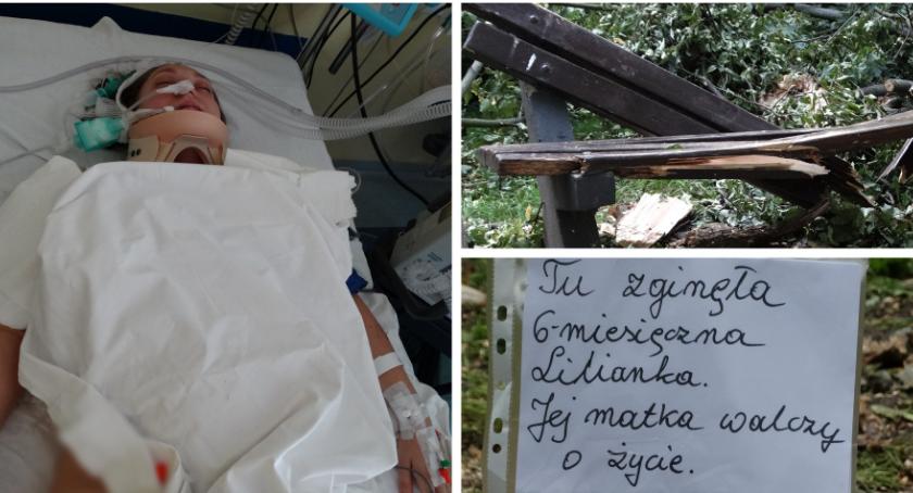 Drzewo przygniotło kobietę i niemowlę – Liliana nie żyje, Olga walczy o zdrowie