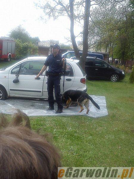 Światowy Dzień Bezpieczeństwa Ruchu Drogowego w Trąbkach