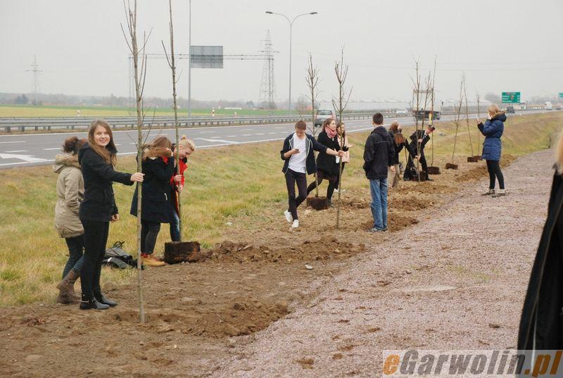 Polsko-rosyjskie sadzenie drzewek