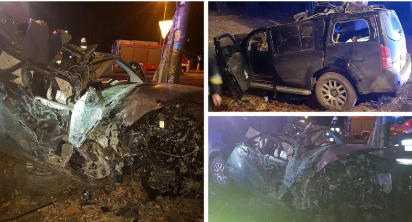 Wypadek w Wildze – nissan uderzył w drzewo