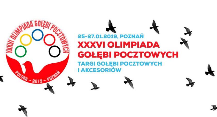 Wyjątkowe święto hodowców gołębi pocztowych w Poznaniu!