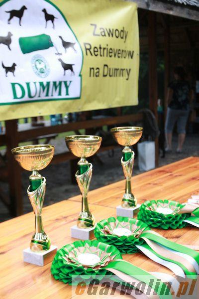 Zawody Retrieverów na Dummy o Puchar Starosty Garwolińskiego